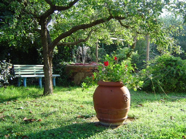  ImGiardino 